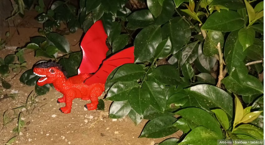 Волшебная палочка. Часть 1 (фото 6)