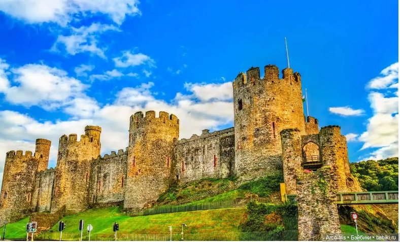 Тайна Гремучей Ивы. Волшебная палочка. Часть 2 (фото 2)