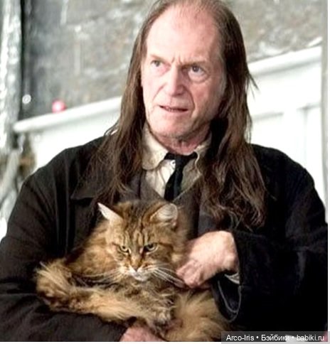 Тайна Гремучей Ивы. Волшебная палочка. Часть 2