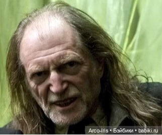 Тайна Гремучей Ивы. Волшебная палочка. Часть 2