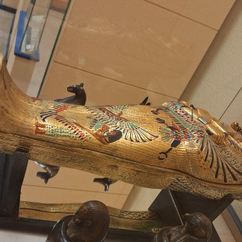 Самарский культурно-выставочный центр "Радуга"