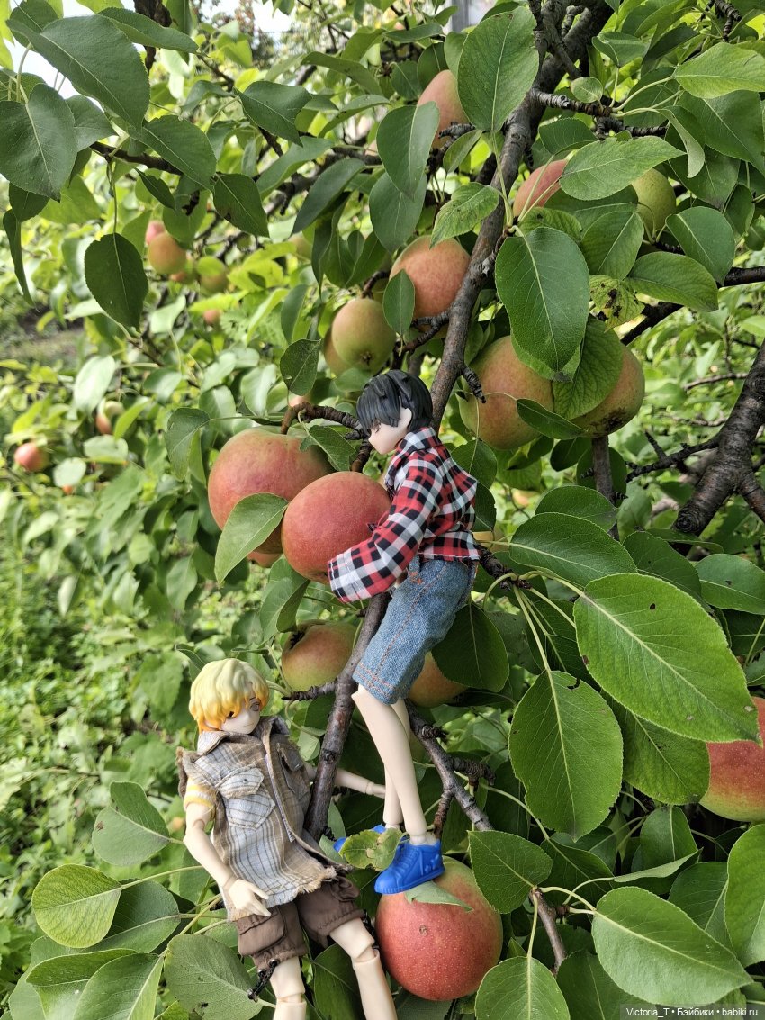 В деревне — Другие Blind Box и Арт (фото 9)