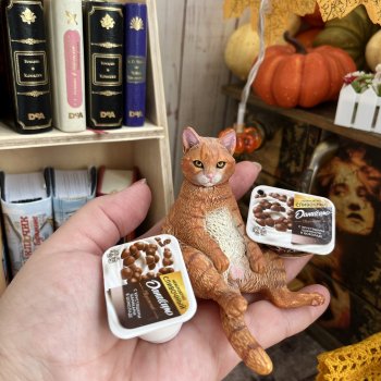 НеКотяи, люди у которых нет кошек 🐈