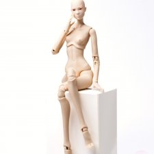 Бланк бжд куклы Бланк бжд куклы