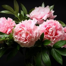 Топик, который всё никак не дописать...