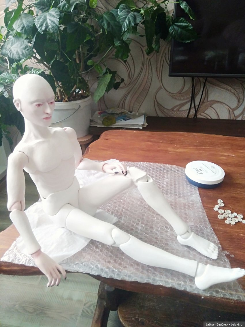 кукла Тристан Пилигрим, Автор Жабка