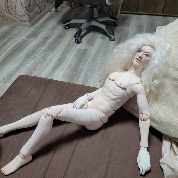 Тристан поехал домой