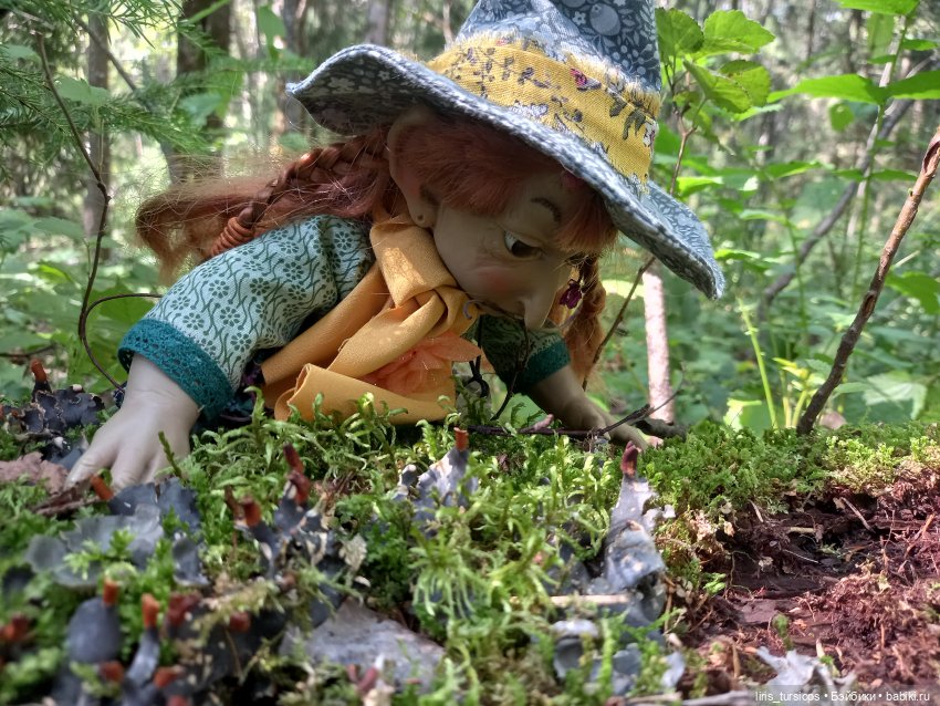 Луг и Лес — Куклы D'Anton Jos (Д'Антон Джос): характерные (фото 7)