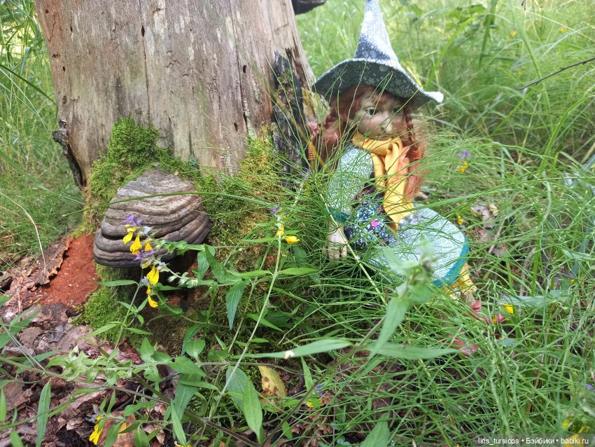 Луг и Лес — Куклы D'Anton Jos (Д'Антон Джос): характерные (фото 9)