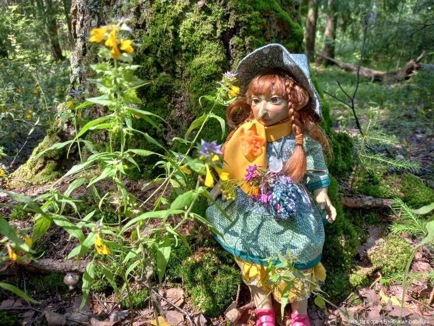 Луг и Лес — Куклы D'Anton Jos (Д'Антон Джос): характерные (фото 6)