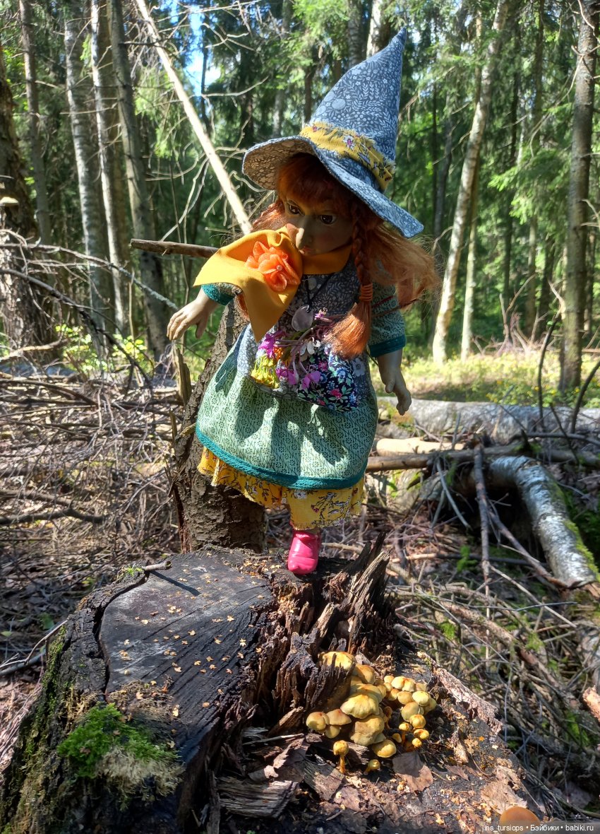Луг и Лес — Куклы D'Anton Jos (Д'Антон Джос): характерные (фото 5)