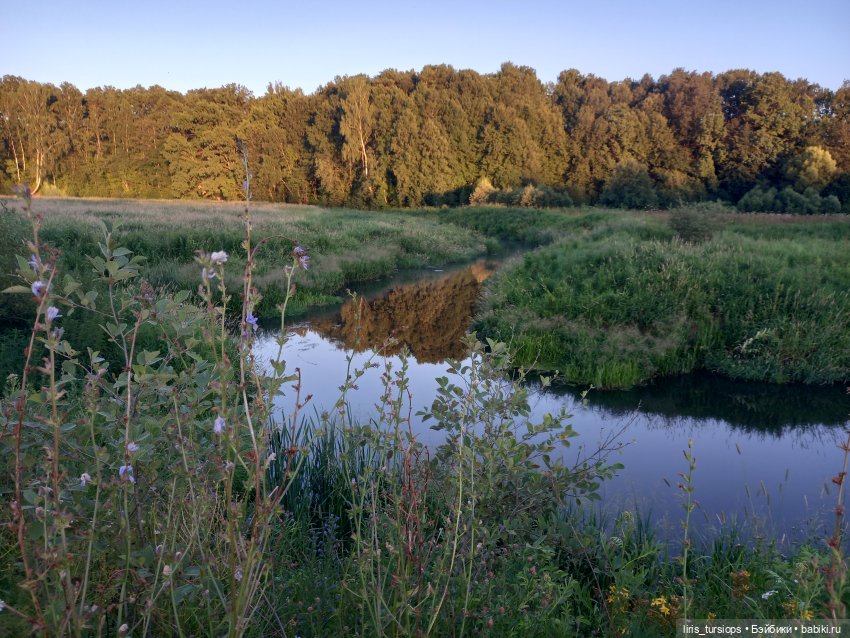Лето Мирэи — Российские куклы Весна (фото 3)