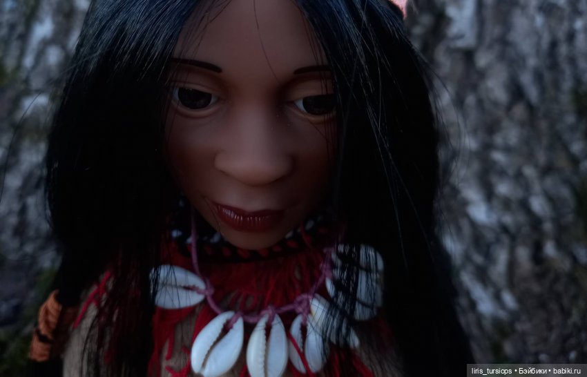 Храбрая Ласточка из племени Хупа