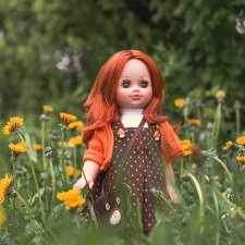 Лисичка в цветах