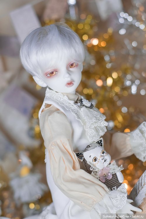 Волшебная комната Робина — Куклы Dollmore (Доллмор): корейские BJD (БЖД) (фото 5)