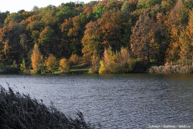 Ведьмочка на роликах — Куклы Paola Reina (Паола Рейна): новинки (фото 6)