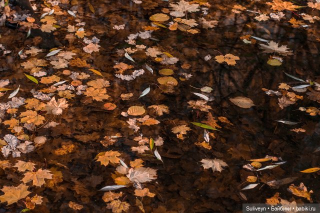 Ведьмочка на роликах — Куклы Paola Reina (Паола Рейна): новинки (фото 10)