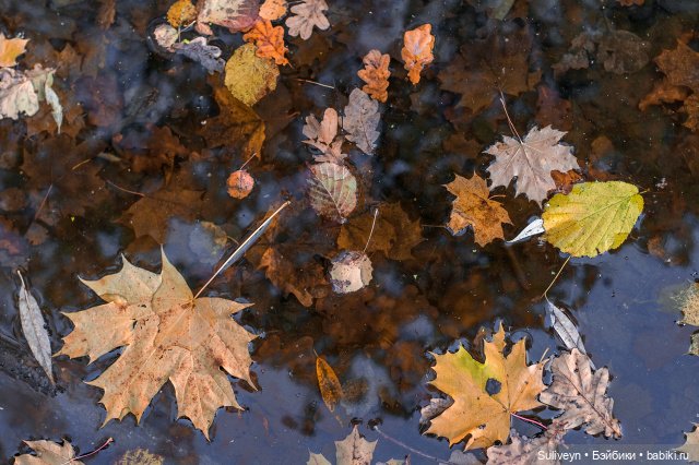 Ведьмочка на роликах — Куклы Paola Reina (Паола Рейна): новинки (фото 9)