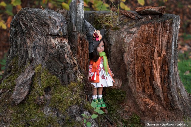 Ведьмочка на роликах — Куклы Paola Reina (Паола Рейна): новинки (фото 5)