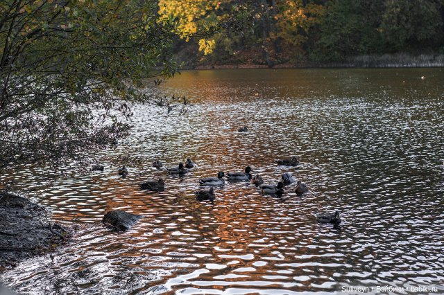 Ведьмочка на роликах — Куклы Paola Reina (Паола Рейна): новинки (фото 7)