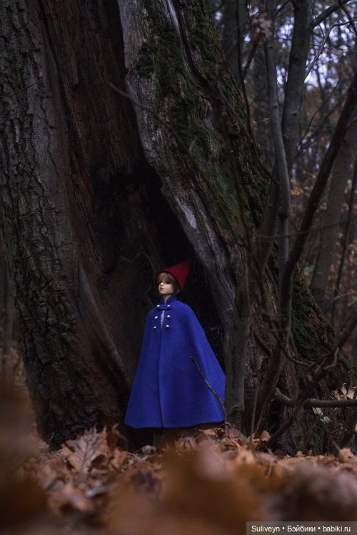 По ту сторону изгороди — Куклы Volks (Волкс): Super Dollfie (SD) и Dollfie Dream (DD) (фото 8)