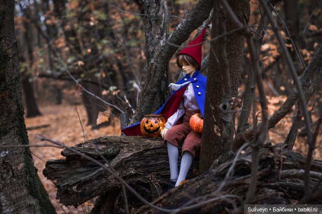 По ту сторону изгороди — Куклы Volks (Волкс): Super Dollfie (SD) и Dollfie Dream (DD) (фото 2)