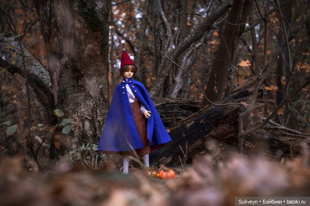 По ту сторону изгороди — Куклы Volks (Волкс): Super Dollfie (SD) и Dollfie Dream (DD) (фото 4)