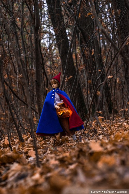 По ту сторону изгороди — Куклы Volks (Волкс): Super Dollfie (SD) и Dollfie Dream (DD) (фото 7)