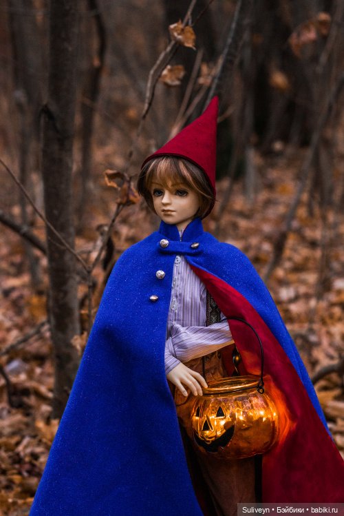 По ту сторону изгороди — Куклы Volks (Волкс): Super Dollfie (SD) и Dollfie Dream (DD) (фото 10)