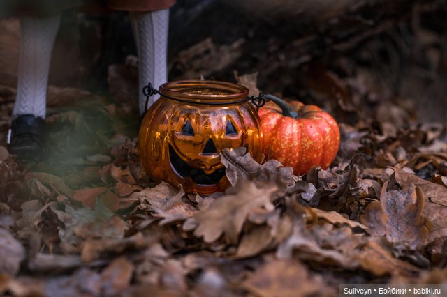 По ту сторону изгороди — Куклы Volks (Волкс): Super Dollfie (SD) и Dollfie Dream (DD) (фото 3)