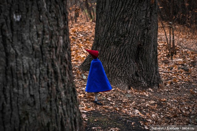 По ту сторону изгороди — Куклы Volks (Волкс): Super Dollfie (SD) и Dollfie Dream (DD) (фото 6)