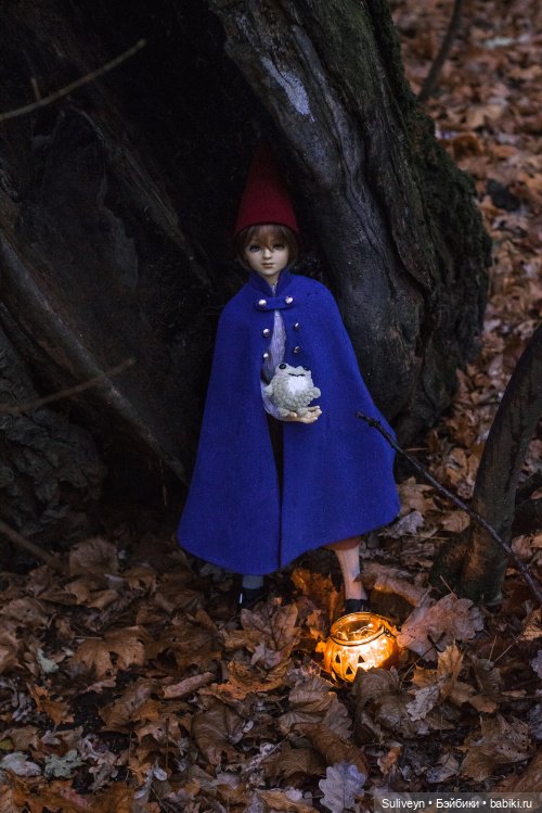 По ту сторону изгороди — Куклы Volks (Волкс): Super Dollfie (SD) и Dollfie Dream (DD)