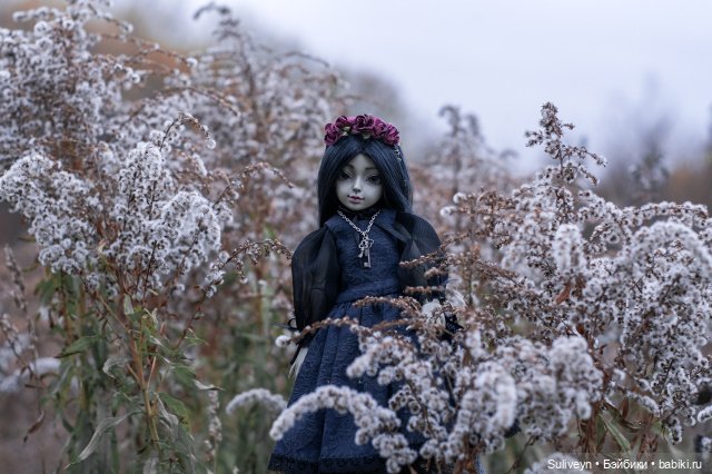 Черная птичка — Куклы Resinsoul (Резинсоул) и Bobobie: BJD (БЖД) (фото 7)