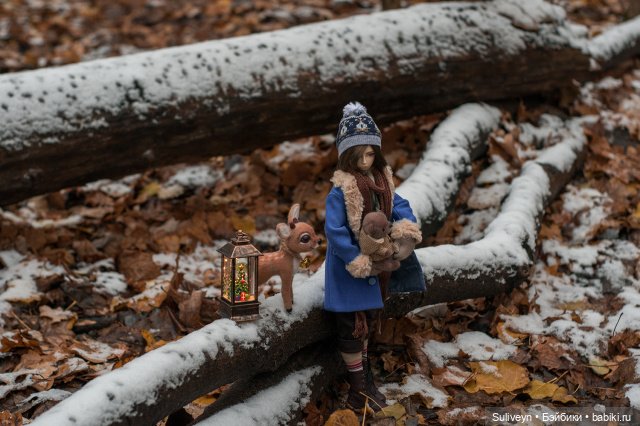Первый снег — Разные куклы BJD (БЖД): редкие бренды (фото 3)