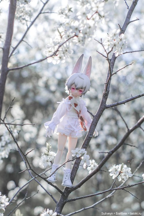 Зайчик в облаках — Куклы и тела UFdoll (ЮФдолл): Blind Box (фото 6)