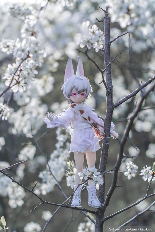 Зайчик в облаках — Куклы и тела UFdoll (ЮФдолл): Blind Box (фото 2)