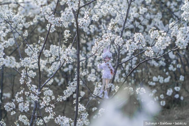 Зайчик в облаках — Куклы и тела UFdoll (ЮФдолл): Blind Box (фото 4)