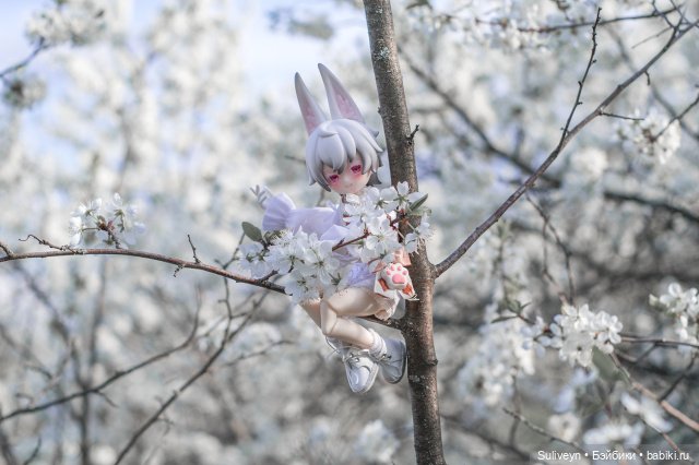 Зайчик в облаках — Куклы и тела UFdoll (ЮФдолл): Blind Box (фото 7)