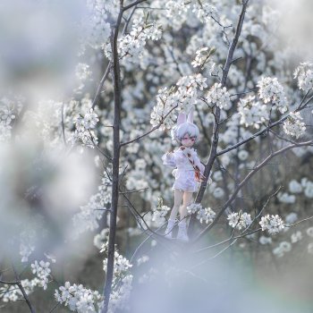 Зайчик в облаках