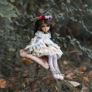 Волшебный мир Алисы