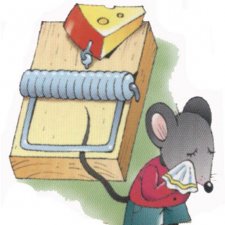 Как не попасть новичку впросак?