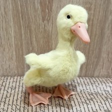 Утёнок-тедди