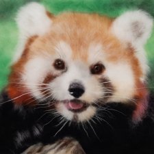 Картина шерстью