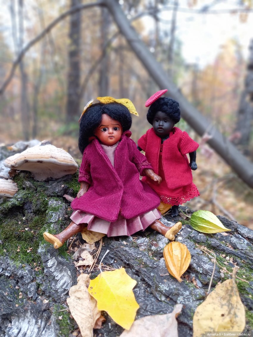 Тюлип и Шафран mignonette