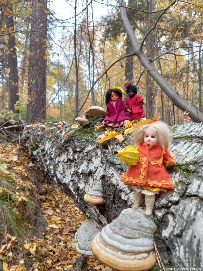 В сумрачный лес с фонариком мы пошли