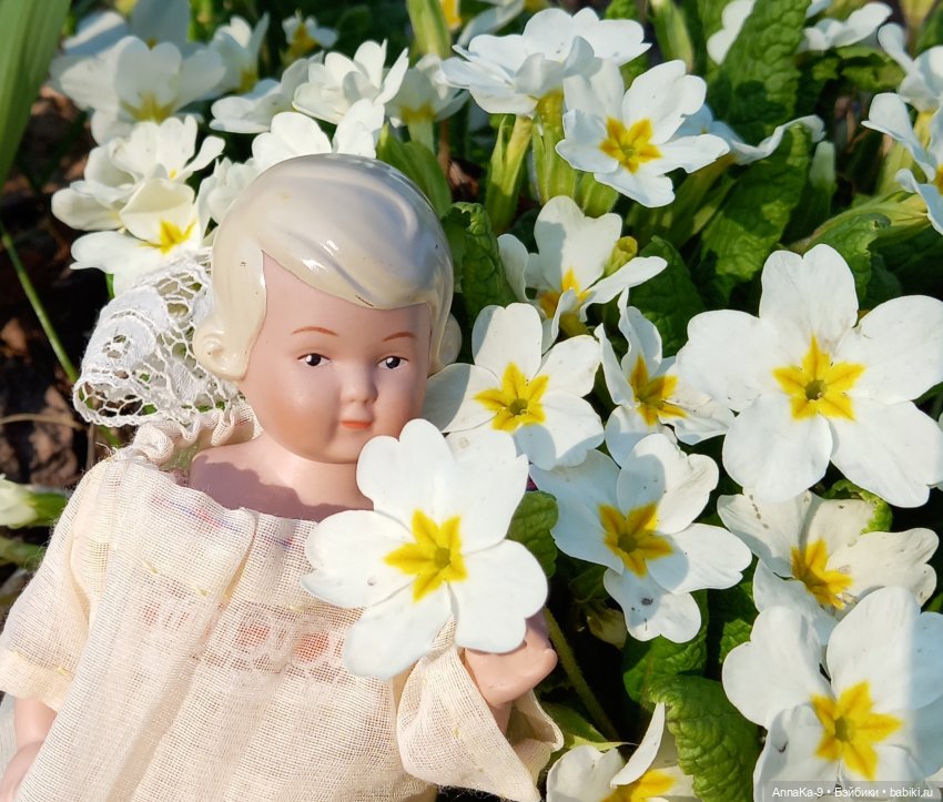 Урсула Примула