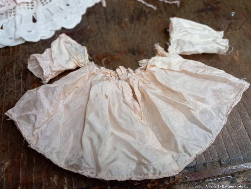 Знакомство с Гюльденштедтией фон Монфиллой (фото 2)