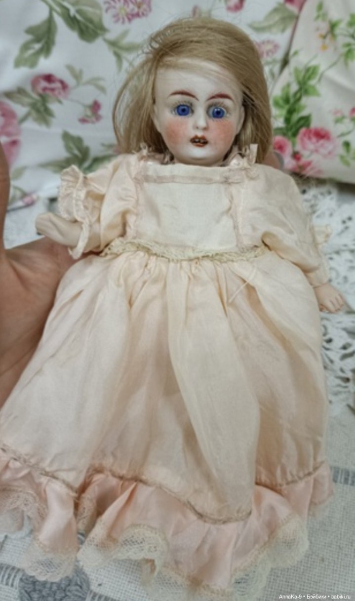 Знакомство с Гюльденштедтией фон Монфиллой