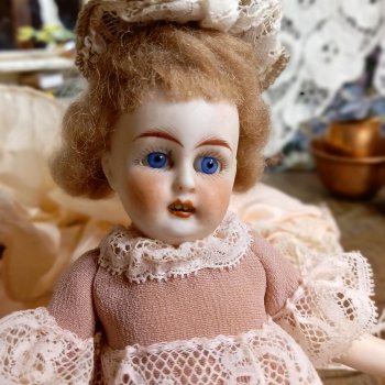 Знакомство с Гюльденштедтией фон Монфиллой