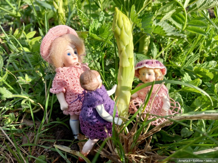 Готовим вместе с Гюльденштедтией фон Монфиллой пирог со спаржей и варенье из ревеня | Бэйбики Готовим вместе с Гюльденштедтией фон Монфиллой пирог со спаржей и варенье из ревеня (фото 2)